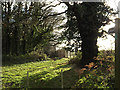 Footpath to the A1156 Felixstowe Road