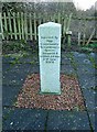 A Golden Jubilee stone at Rigg