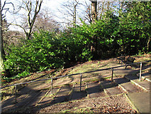 TQ4376 : Steps and benches below Severndroog Castle by Stephen Craven