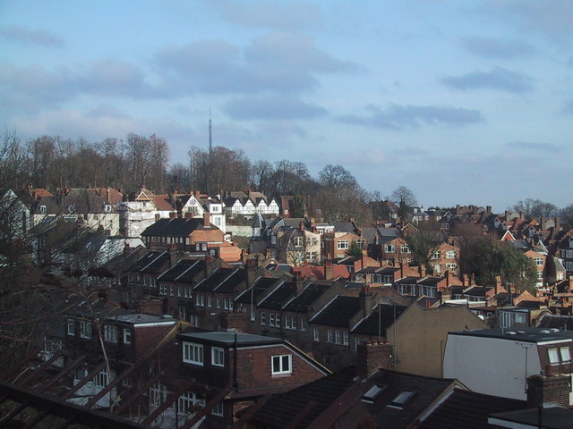 View of Alexandra Palace across the rooftops