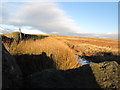 Pennine Way at Thornton Hill