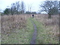 Path in Stonelees Nature Reserve