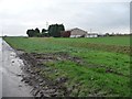 The Piggeries at Rye Field