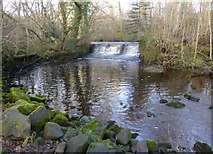 NU1228 : Weir on Waren Burn by Russel Wills