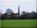 TF1606 : View across the fields towards Glinton by Paul Bryan