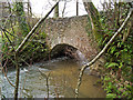 A bridge over the river Yeo in Dymsdale Wood as seen from downstream