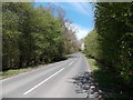 Road from Bream to Parkend