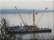 NT1280 : Queensferry Crossing construction by Richard Webb