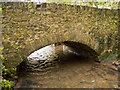 A bridge over the river Yeo near Foxdown Manor as seen from upstream