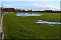 TQ0072 : Flooding in meadows at Runnymede by David Martin