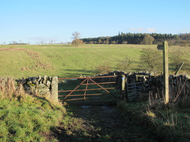 Farmland west of Swinburne Castle © Mike Quinn :: Geograph Britain and ...