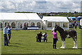 Prize giving at the West Fife Show