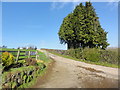 Farm Driveway