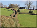 Pasture Land North of Bovey Tracey