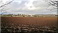 Across the field to Langwith