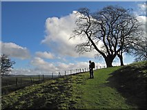 SO3594 : Walker on The Shropshire Way by Dave Croker