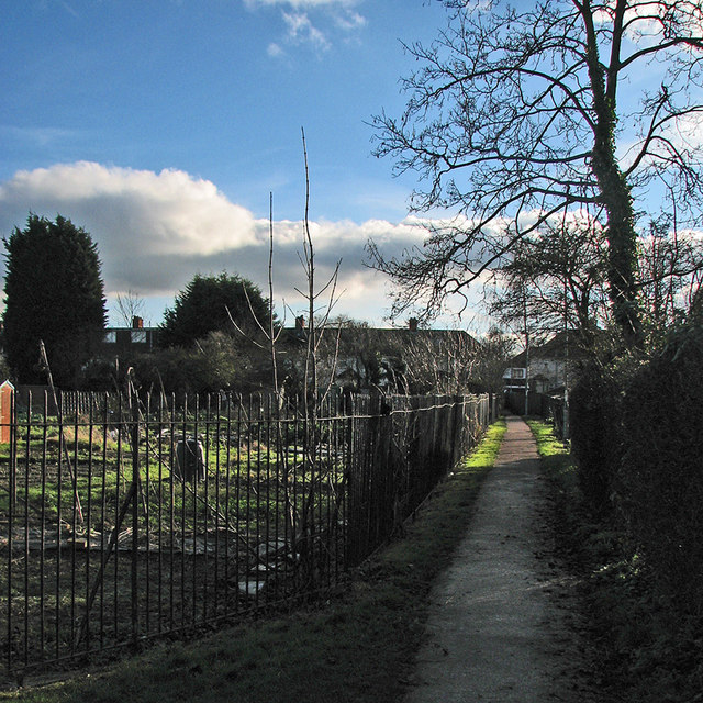 Path past the allotments