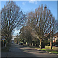 Glebe Road in January