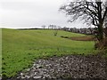 Wet fields, Boclair