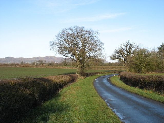 A country lane at Birtsmorton