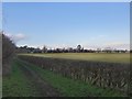 Farmland, seen from Boundary Road