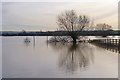 ST3329 : Flooded Land at East Lyng by Mike Smith