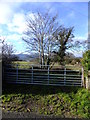 Gate, trees, field