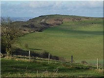 SP9616 : Ivinghoe Beacon from the car park by Rob Farrow