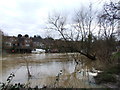 River Medway, Maidstone