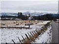 Stubble fields at Coulnakyle