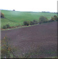 Farmland near Breaks Hall