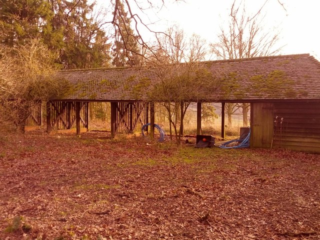 Odd structure in "Albert Plantation" woods