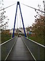 View west across the suspension bridge at Solitude Park