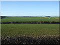 Farmland off Dalton Back Lane