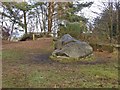 Sandstone block on High Curley