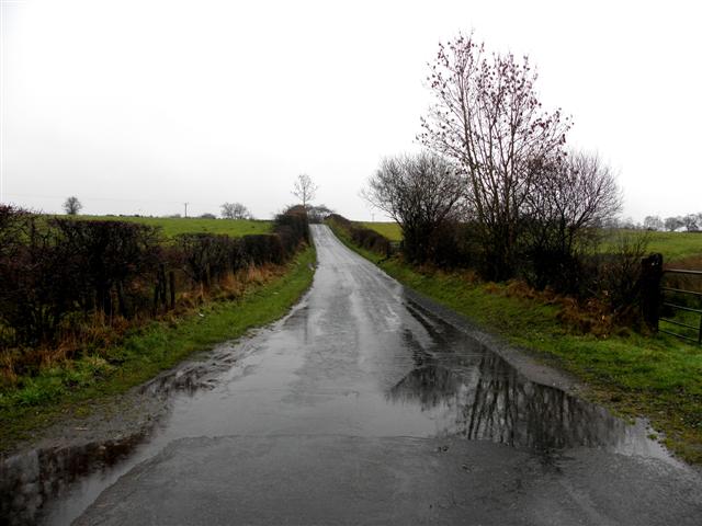 Wet along Minadinna Road, Mullaghslin Glebe