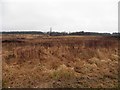 Bogland, Carrickmore