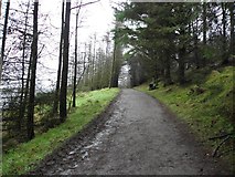 H5776 : Path, Loughmacrory by Kenneth  Allen