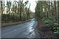 Road to Portpatrick at Church Walk Wood