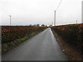 Hedge lined road and windmill near Chapelton