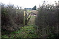 Footpath to Chapel End Farm