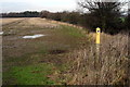 Footpath across a soggy field