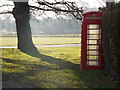 SU9572 : Windsor Great Park: red telephone box by Chris Downer