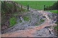 Mid Devon : Muddy Track