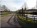 Windsor Great Park: road passing Isle of Wight Pond