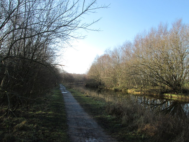 Bridgewater Canal at Bittern Pits Wood © John Slater :: Geograph ...