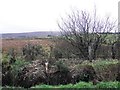 Stroanbrack Townland