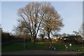 Trees and recycling point in Weaponness Valley car park