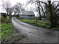 Ruin along Tornoge Road, Ballynamallaght