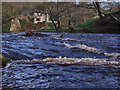 The River Etherow